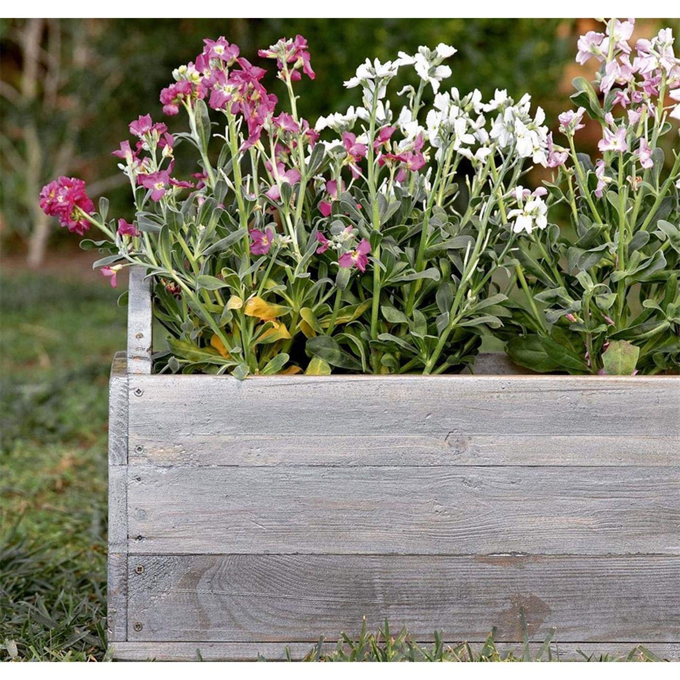 bondex-holzlasur-garden-greys-dunkel-naturgrau-0-75-l-altholz image 2