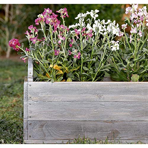bondex-holzlasur-garden-greys-dunkel-naturgrau-0-75-l-altholz image 5